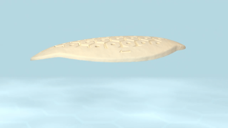 QuanFoam Shear Thickening demonstration